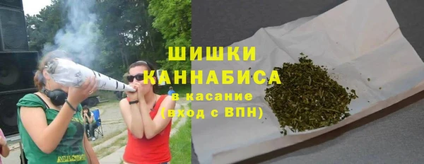 мет Инта