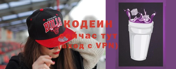 мет Инта