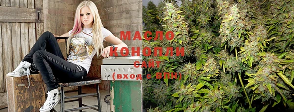 мет Инта