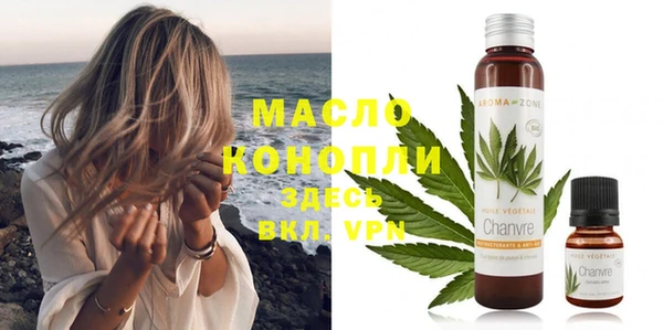 мет Инта