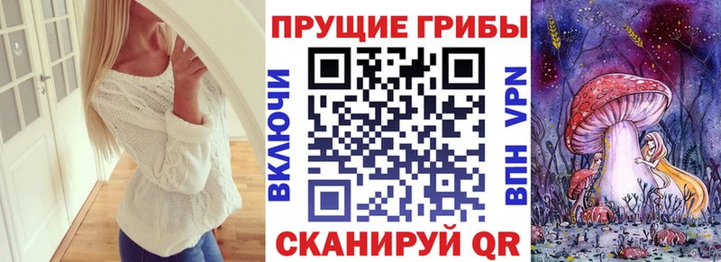 Купить закладки  Реж  Псилоцибиновые грибы Cubensis 